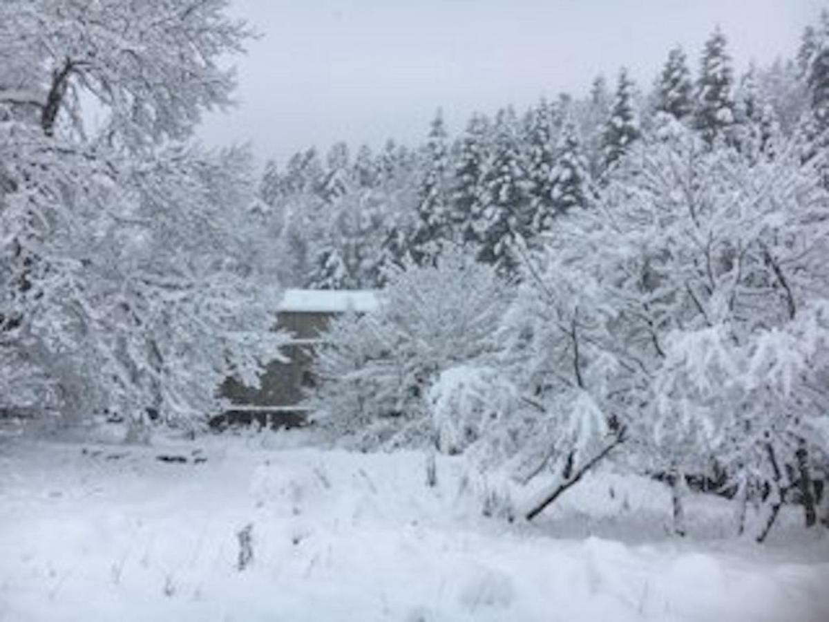 Maison En Ardeche Usclades-et-Rieutord エクステリア 写真